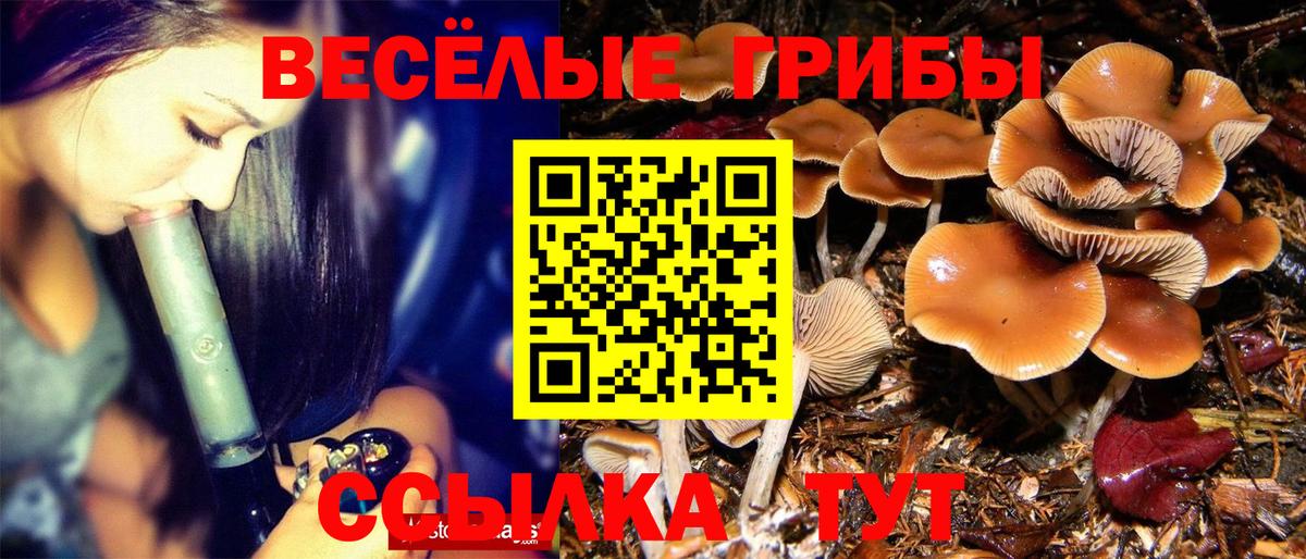 Сорочинск  цена наркотик  Вход с VPN  Галлюциногенные грибы прущие грибы 